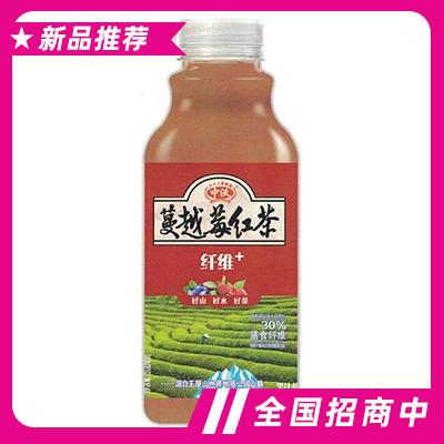 中沃果汁茶蔓越莓紅茶500ml