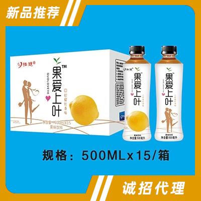 心相隨果愛上葉檸檬紅茶果味飲料500mlx15瓶