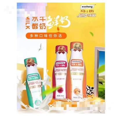 廣西月亮阿媽乳業(yè)有限公司