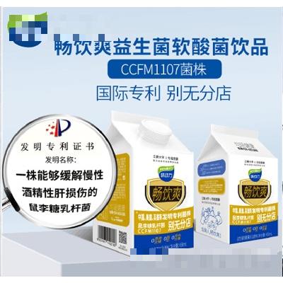 均瑤味動力餐飲專供暢飲爽益生菌乳酸菌飲品458ml瓶裝