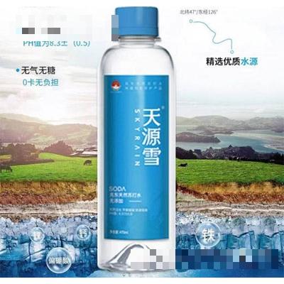 天源雪食品科技有限公司