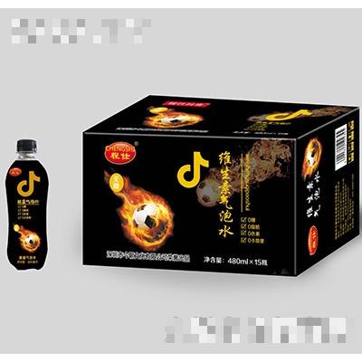 程仕維生素氣泡水480mlx15