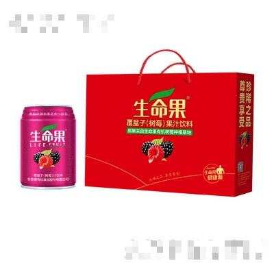 生命果樹莓果汁（易拉罐）