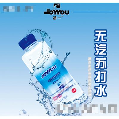 河南鵬程綠色飲品有限公司