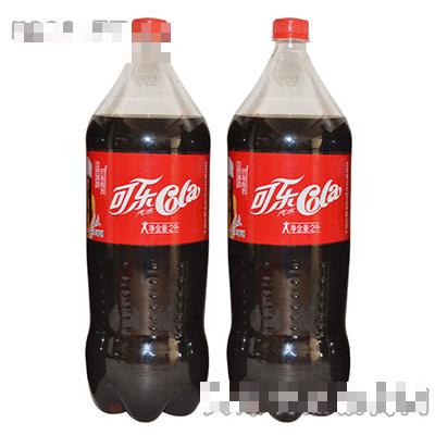 體寶可樂2L
