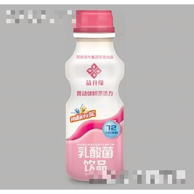 河南雪牛乳業(yè)有限公司