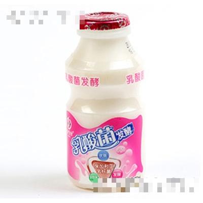 小家伙100ml乳酸菌
