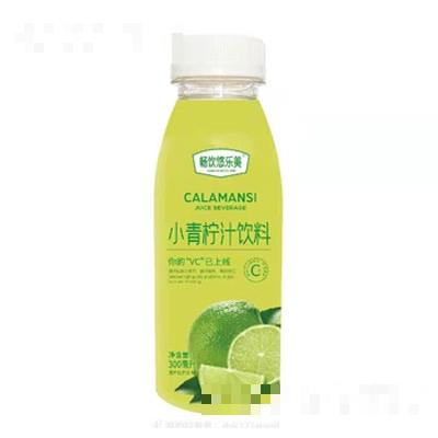 棗莊市豐隆食品有限公司