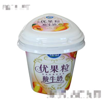 長(zhǎng)春新高食品有限公司