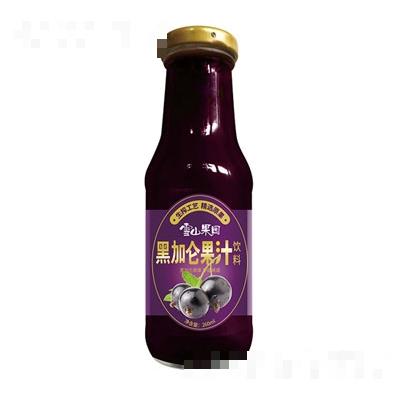 新疆雪山果園食品有限公司