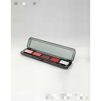 天獅集團有限公司