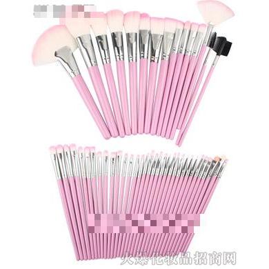 TS4801專業(yè)48支粉紅化妝套刷