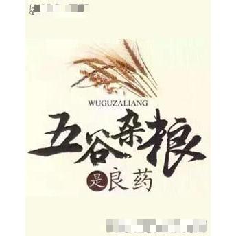 湖北順溜蘆薈種植基地