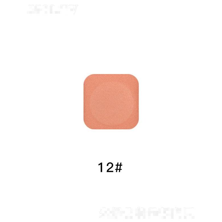 廣州仙蒂啞光大亮片蔥粉DIY眼影12# 易上色不飛粉修飾多色通用眼影