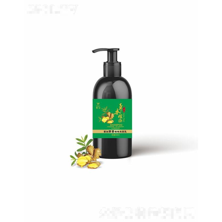 綠絲源（廣州）品牌管理有限公司