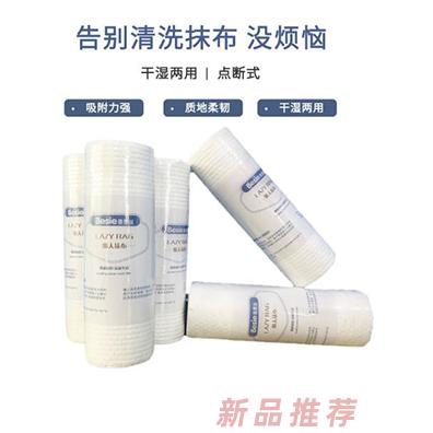 蓓恩絲懶人抹布 干濕兩用強(qiáng)力清潔用完即扔方便衛(wèi)生