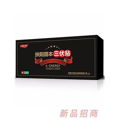 天施葉桂扶陽(yáng)固本三伏貼盒裝