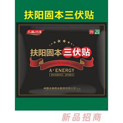 天施葉桂扶陽(yáng)固本三伏貼