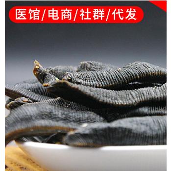 水蛭中藥材OEM代加工