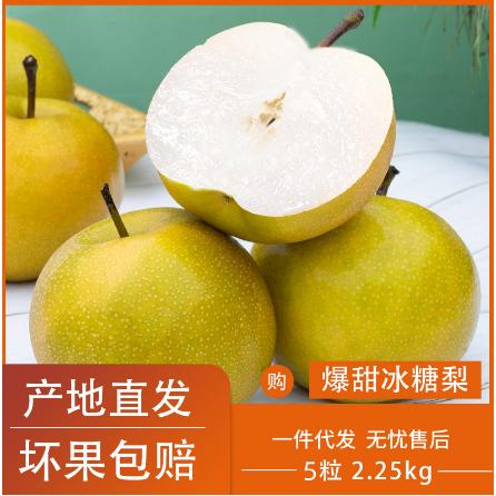 山東省青青大地果蔬有限公司