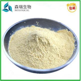 酵母抽提物 酵母提取物 YE 調(diào)味劑 安琪酵母 酵母味素 8013-01-2OEM代工