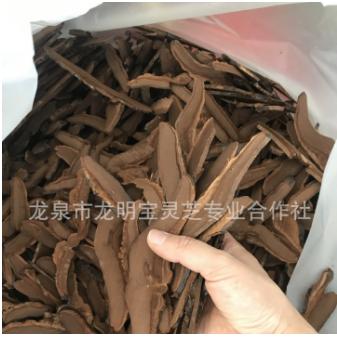 紫靈芝切片 OEM貼牌代工