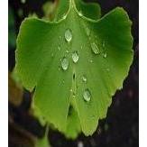 湖南金捷生物工程有限公司