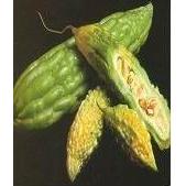 苦瓜提取物OEM代加工