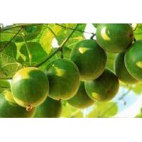 羅漢果提取物OEM代加工