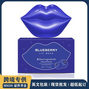 外貿(mào)跨境專供藍(lán)莓唇膜 修復(fù)淡化唇紋保濕補(bǔ)水唇部護(hù)理唇膜貼20片oem代加工