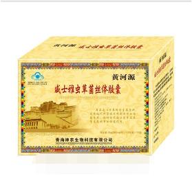 冬蟲(chóng)夏草膠囊OEM代工