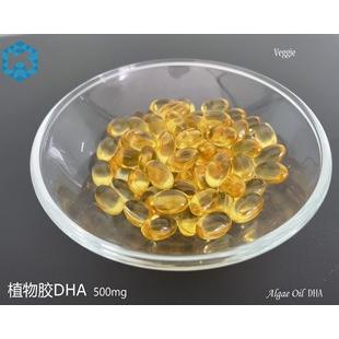 植物膠DHA藻油軟膠囊