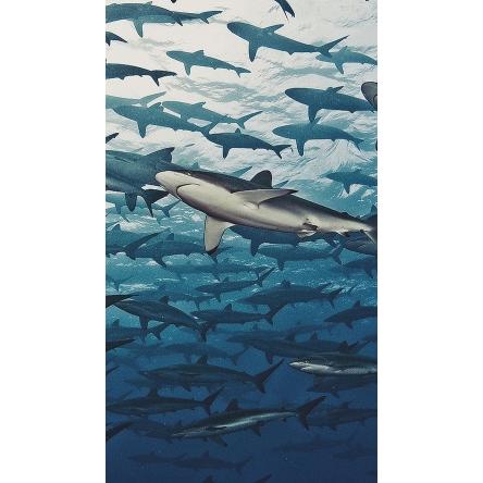 鯊魚軟骨片 壓片糖果