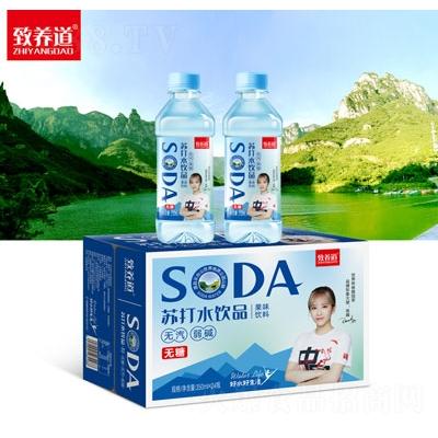 致養(yǎng)道蘇打水飲品350mlX24OEM代加工
