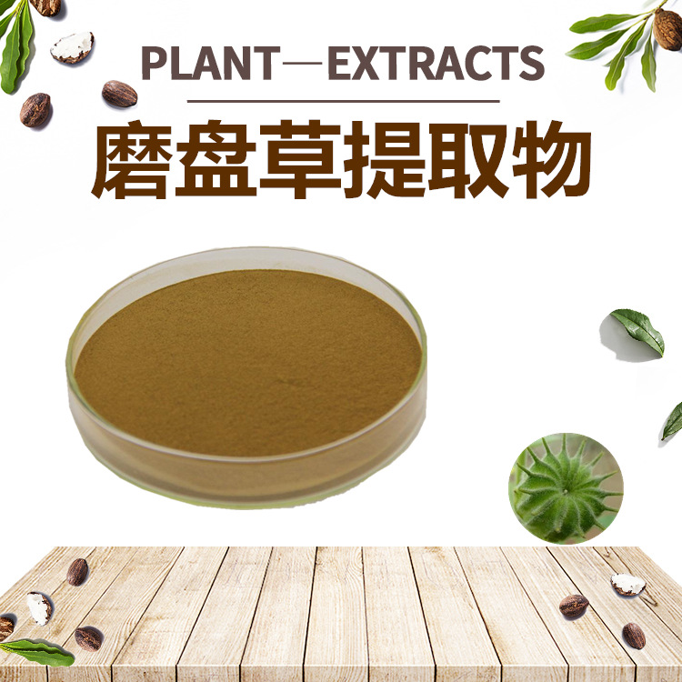 磨盤草提取物OEM代加工