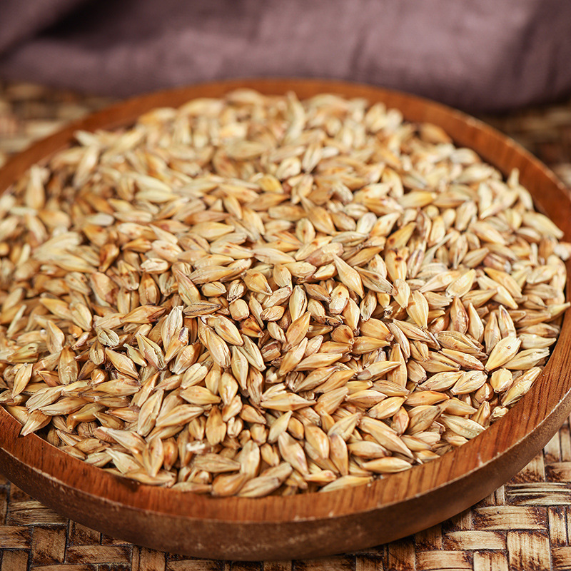 大麥茶原味正宗濃香型麥芽養(yǎng)胃解油膩養(yǎng)生花草茶可批發(fā)一件代發(fā)OEM代加工