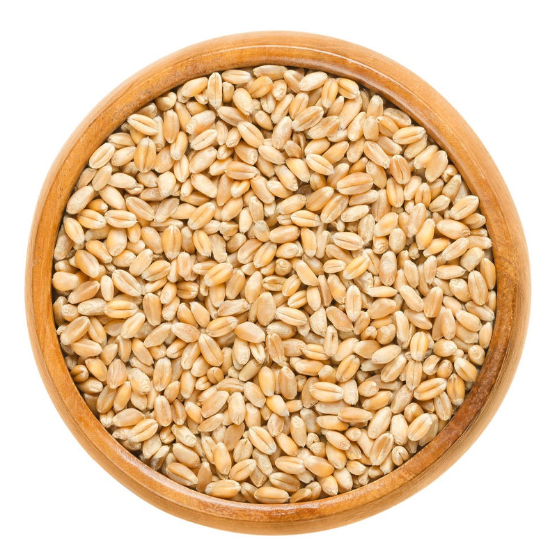 廠家直銷麥仁粉批發(fā)熟粉即食早餐粉五谷雜糧代餐粉OEM代加工