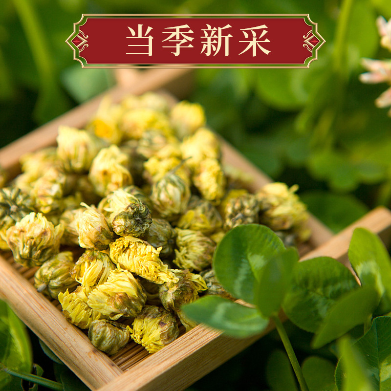 胎菊茶菊花茶桐鄉(xiāng)胎菊新貨散貨罐裝花茶優(yōu)質(zhì)廠家胎菊工廠一手貨源OEM代加工