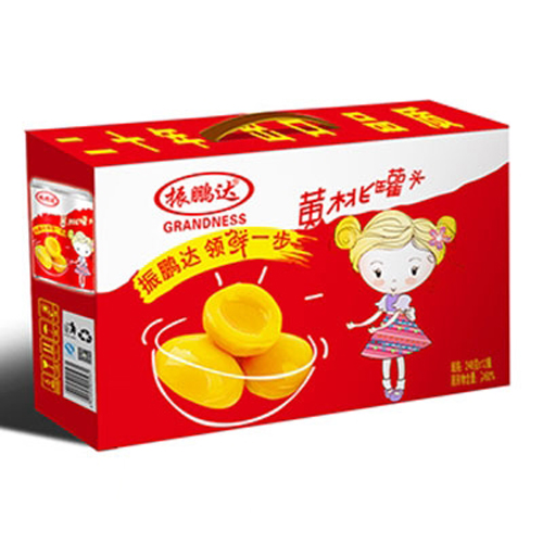 振鵬達(dá)248克鐵罐黃桃罐頭外箱.jpg