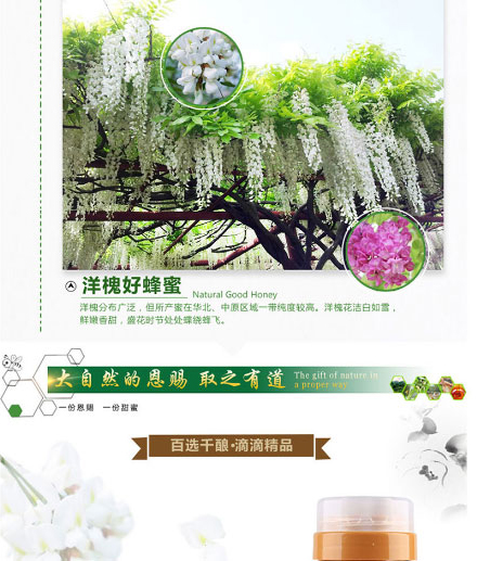 以嶺牌洋槐蜂蜜_04.jpg