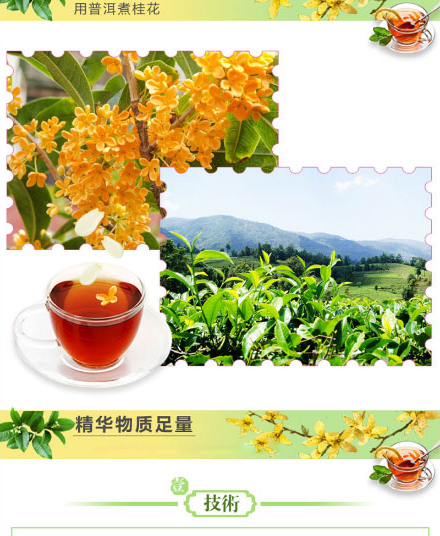 以嶺桂花普洱茶珍_03.jpg