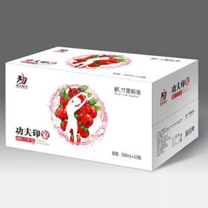 功夫印象武臺(tái)黃桃飲料500ml15瓶
