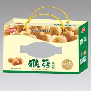 金嬌陽猴菇養(yǎng)生奶苗條磚250ml×10盒