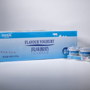 原味越南風味酸奶