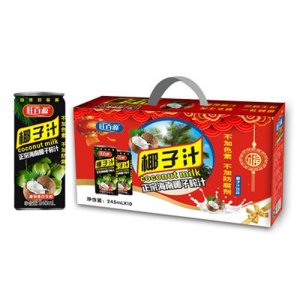 華源椰子汁245mlX10