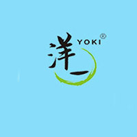 深圳市洋一食品有限公司