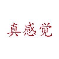 上海真感覺食品有限公司