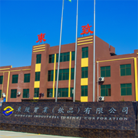 河南東致實業(yè)有限公司